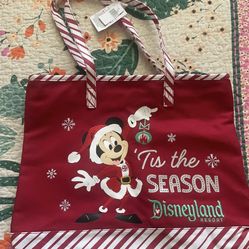 Disney Xmas Bag New 