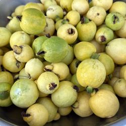 Guayabas/ Guavas /frozen