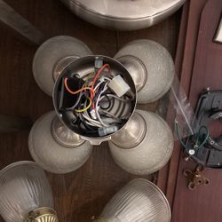Ceiling Fan 