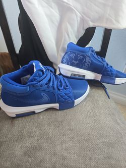 Men's size 10.5 LeBron