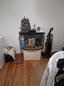 Fish Tank