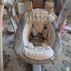 Ingenuity Infant Swing 