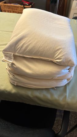 Three Buckwheat Pillows