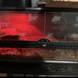 Reptile Tank