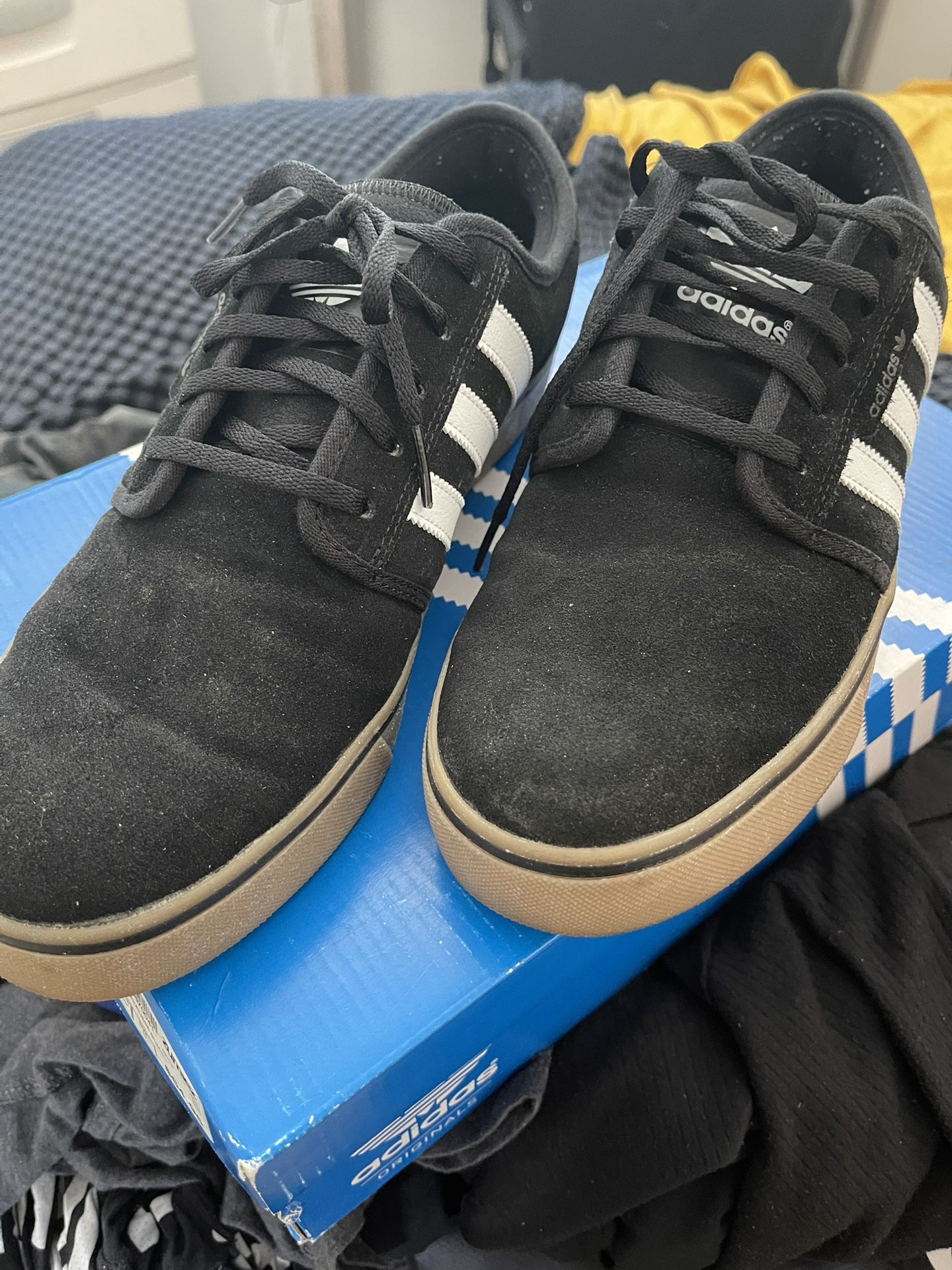 Adidas Shoes (Seeley)