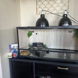 Reptile Tank 40 Gallon