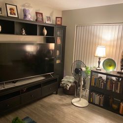 Entertainment Center