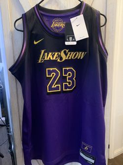 NEW Nike Los Angeles Lakers LeBron James City Edition Lake Show Youth XL Jersey
