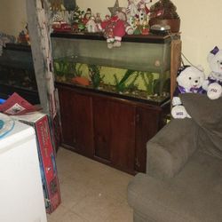 Big Fish tank, With Stand Fish And Decorations 