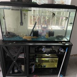 Fish Tank