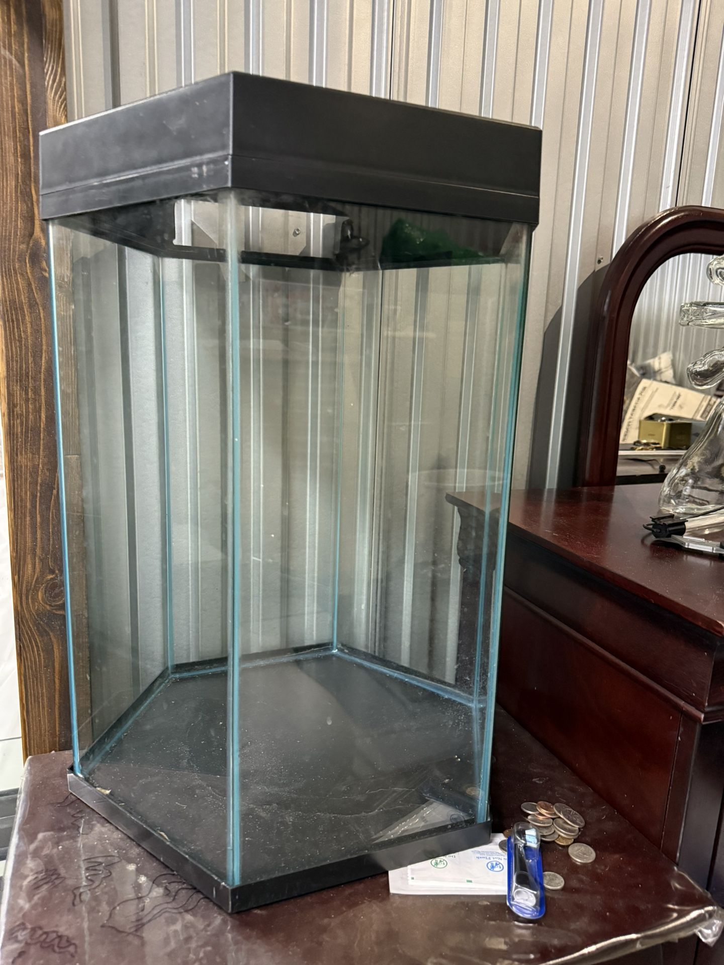 20 Gallon Hexagon Fish Tank