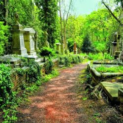 Two Cementary Plots In OHIO