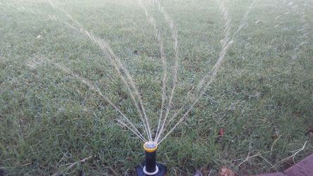 Rotary sprinkler heads