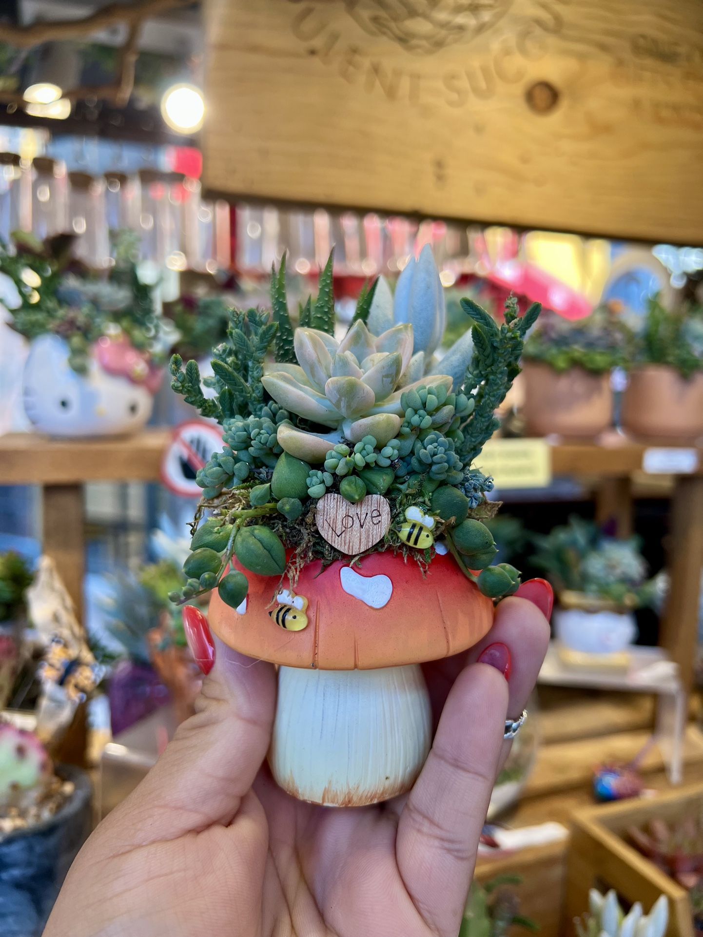 Mushroom Succulent Arrangement