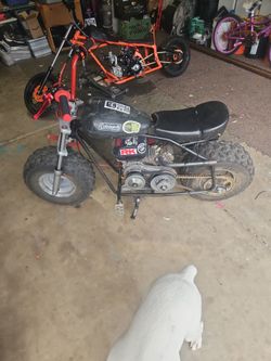 Mini bike