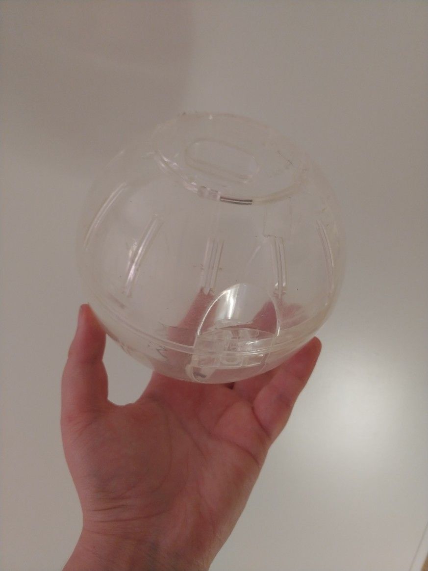 Free Dwarf Hamster Ball