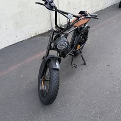 NEW 1k Watt E-BIKE (1000 Watt E-Bicycle)