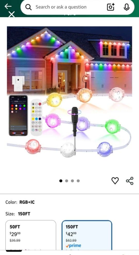 Permanent Outdoor Lights