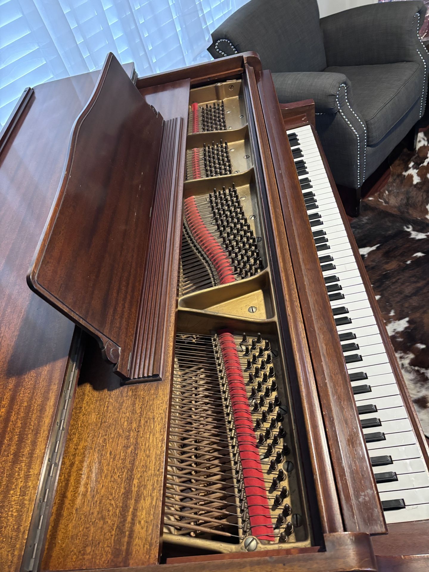 Orchestra Baby Grand Piano