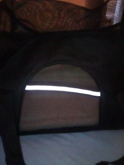 Dog Carrier