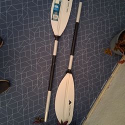 New Kayak Paddle 