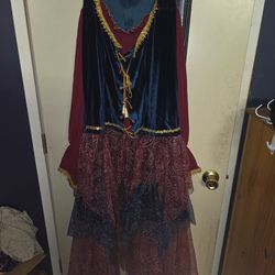 Plus size gypsy costume