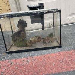 5 Gallon 