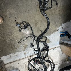 2007 Harley Dyna Super glide Full Wire Harness ECM  Fuse Box Battery Box And  Voltage Regulator 