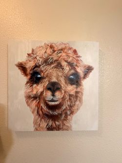Alpaca Portrait Canvas Wall Art