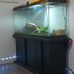 55g Tanks READ DESCRIPTION PLEASE 
