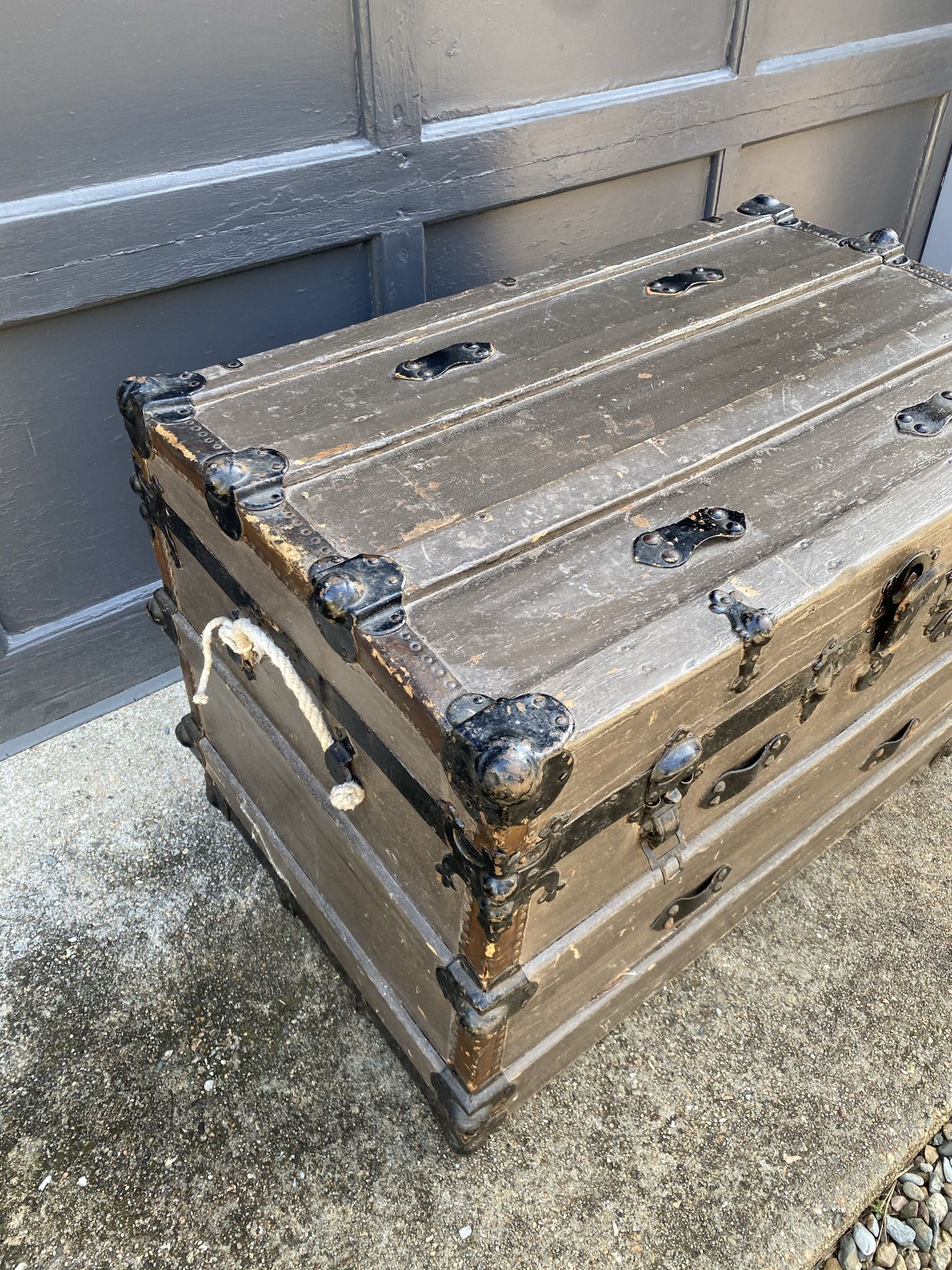 Gray painted trunk