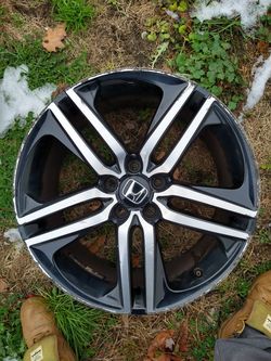 Accord sports 19s