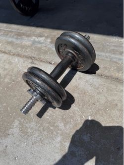 Dumbbell with weights