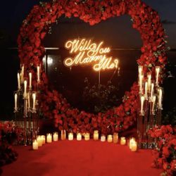Decor For Picnic Proposal 