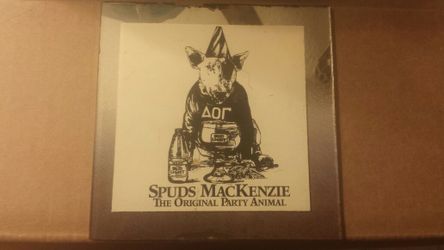 Spuds MacKenzie Mirror - $5