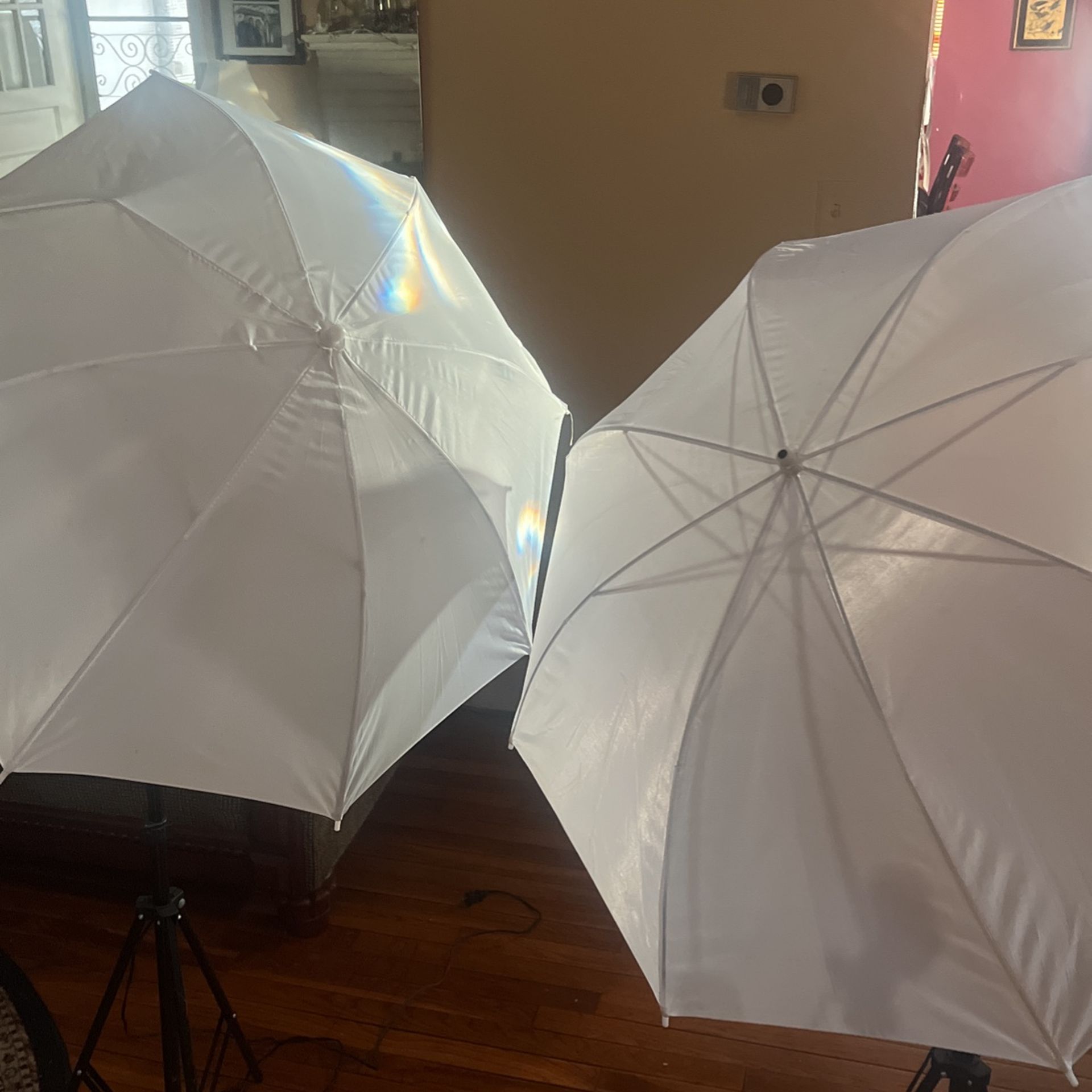 Photography umbrellas