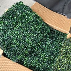 Wall Plant Decorating 