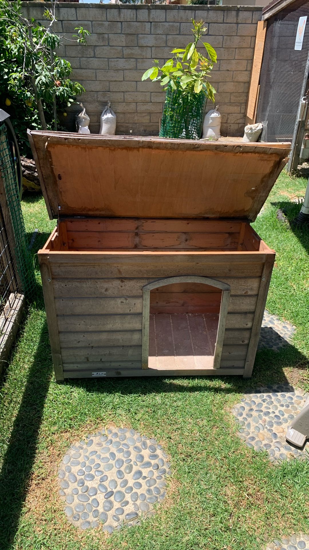 Dog House 