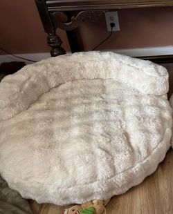 Dog Bed 