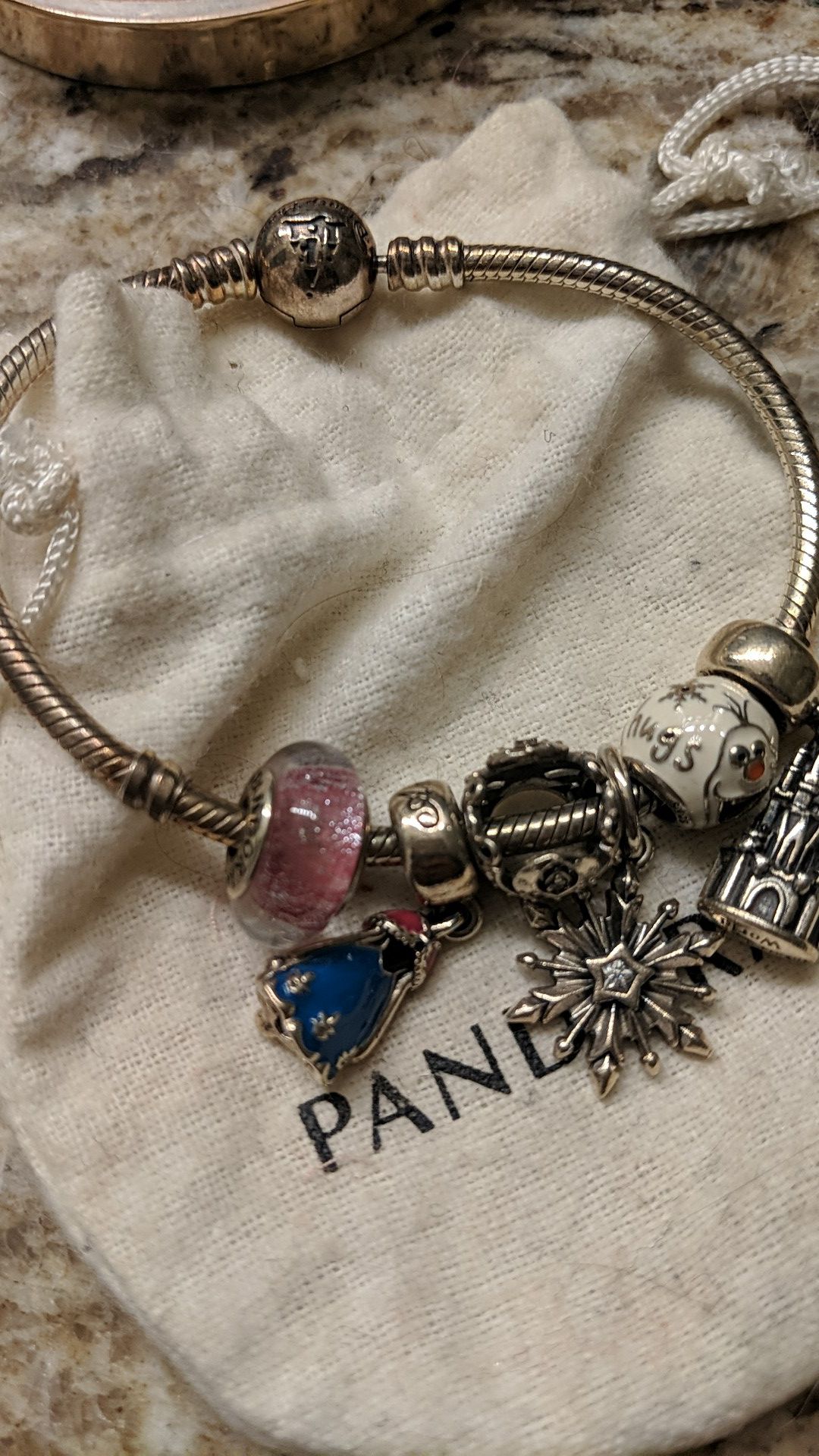 Disney Parks Pandora Bracelet and 6 Charms