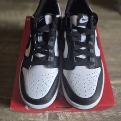 Brand New Youth Nike Low Dunk Pandas