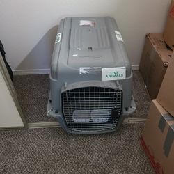 Pet Carrie Petmate Large