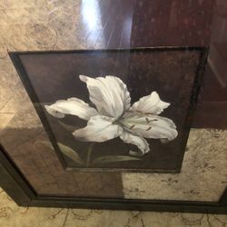 Large Framed Art/Picture
