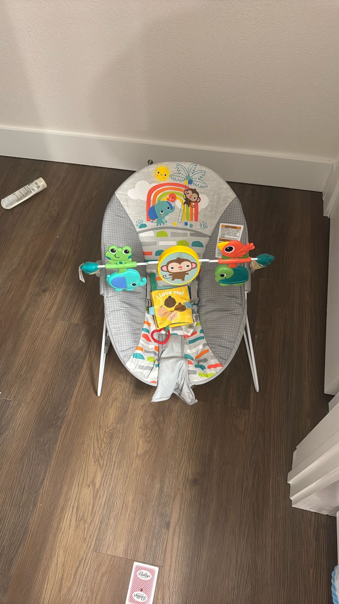 Baby Bouncer