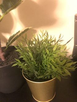 Plants planter indoor Bush and hanging succulent fake faux