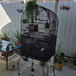 Bird Cage 🐦 🐦‍⬛ 🦜. ....JAULA PARA PAJAROS 