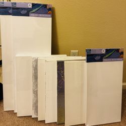 Lot Of 10 Canvases 