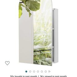 Arch Mirror Cabinet For Bathroom