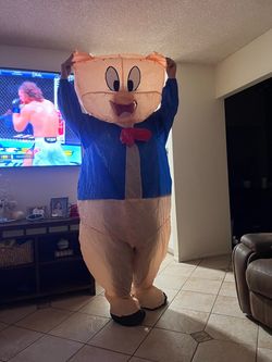 Porky pig costume