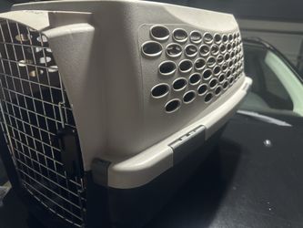 Kennel cab